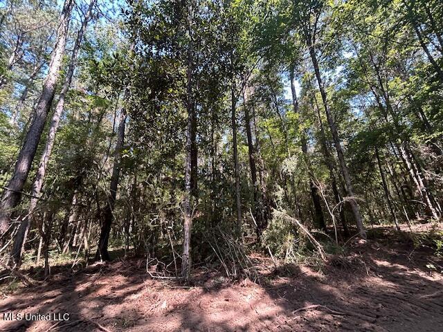 0 Charlie Rhodus Rd Property Photo 11