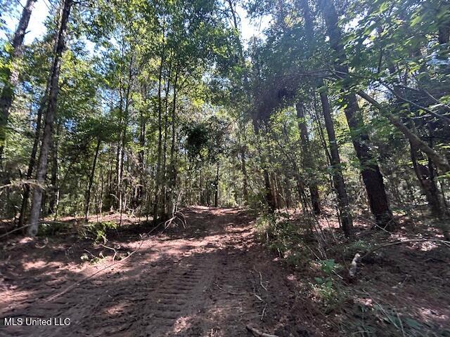 0 Charlie Rhodus Rd Property Photo 12