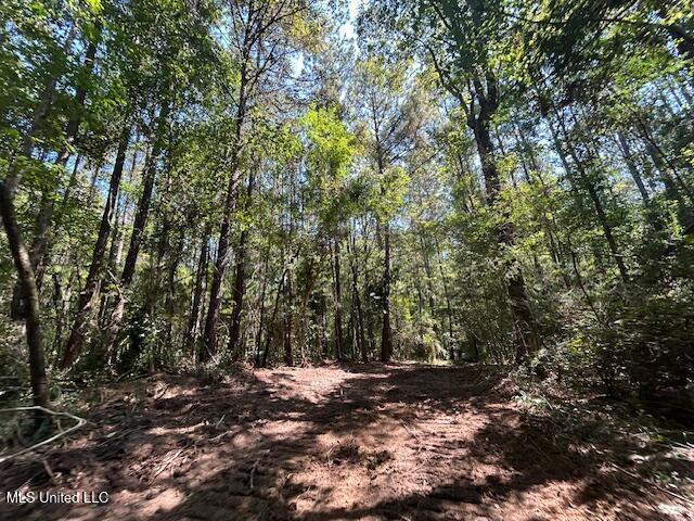 0 Charlie Rhodus Rd Property Photo 13