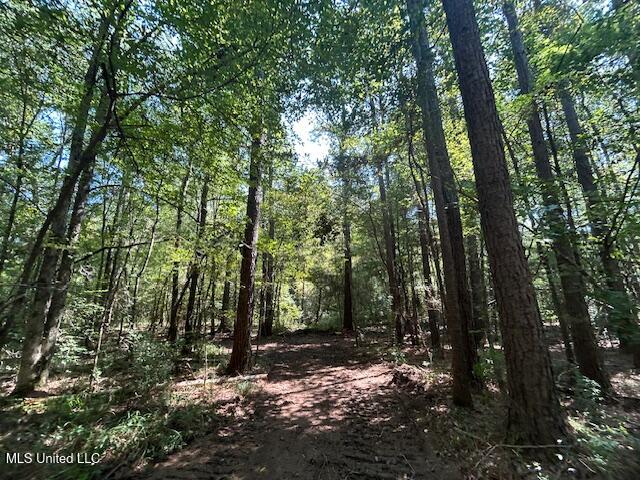 0 Charlie Rhodus Rd Property Photo 14