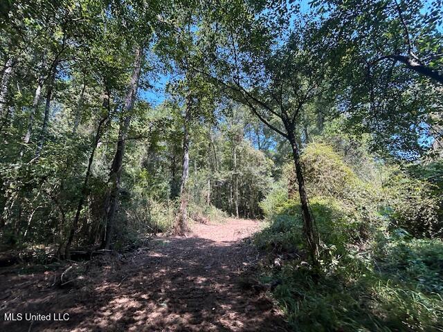 0 Charlie Rhodus Rd Property Photo 15