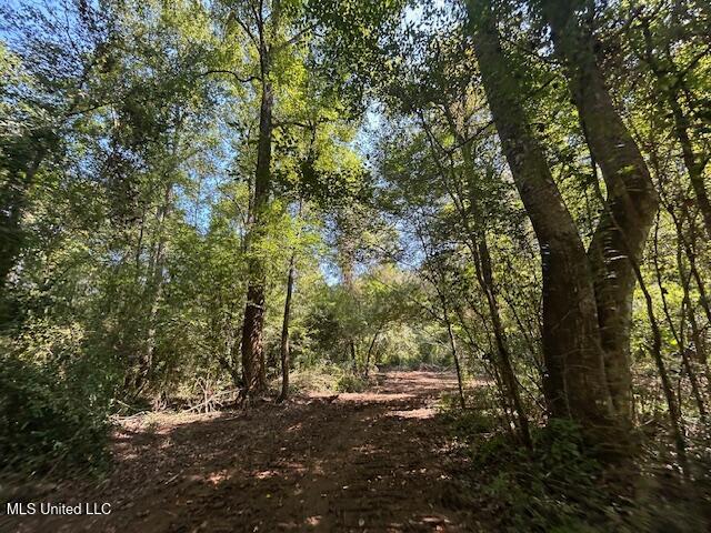 0 Charlie Rhodus Rd Property Photo 17