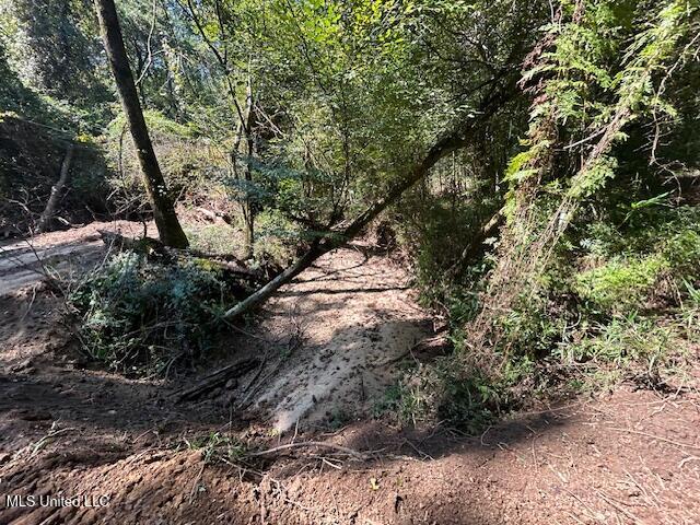 0 Charlie Rhodus Rd Property Photo 18