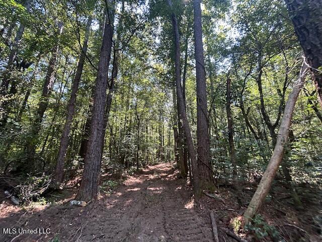 0 Charlie Rhodus Rd Property Photo 19