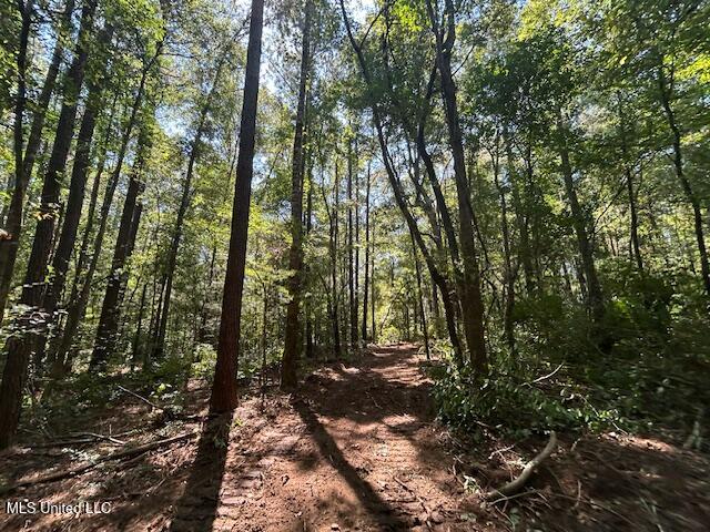 0 Charlie Rhodus Rd Property Photo 20