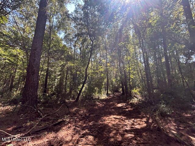 0 Charlie Rhodus Rd Property Photo 22