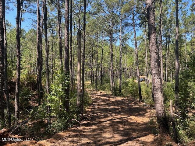 0 Charlie Rhodus Rd Property Photo 23