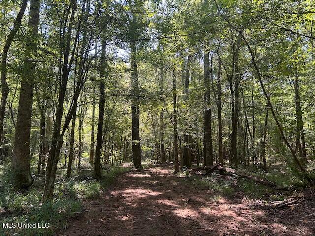 0 Charlie Rhodus Rd Property Photo 24