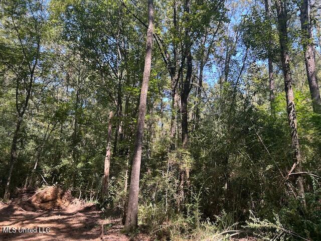 0 Charlie Rhodus Rd Property Photo 25