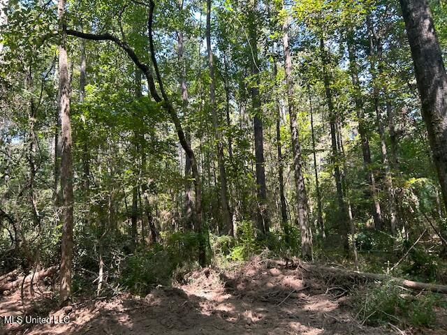 0 Charlie Rhodus Rd Property Photo 26