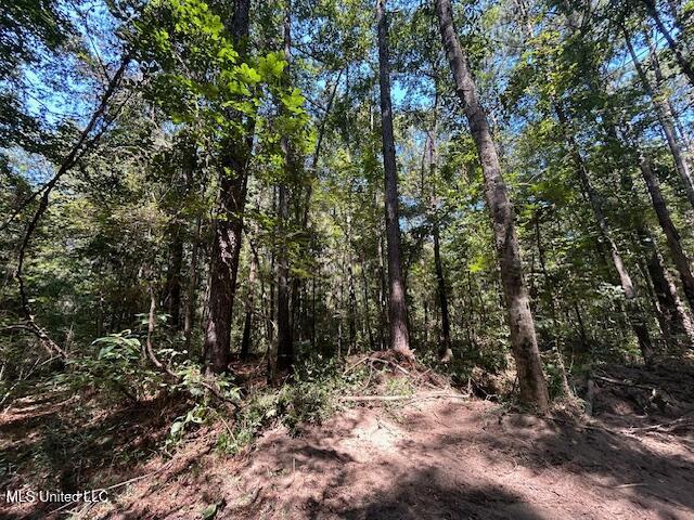 0 Charlie Rhodus Rd Property Photo 27