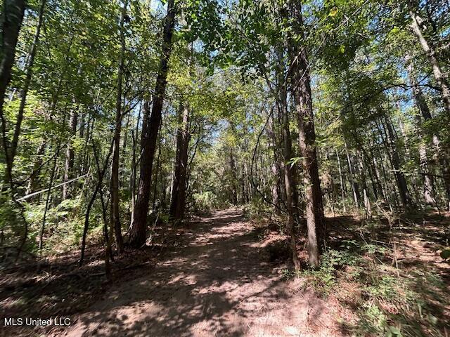 0 Charlie Rhodus Rd Property Photo 28