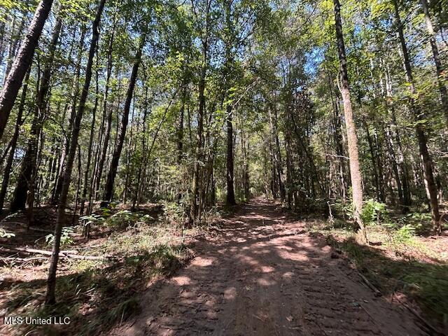 0 Charlie Rhodus Rd Property Photo 29