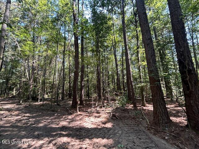 0 Charlie Rhodus Rd Property Photo 30