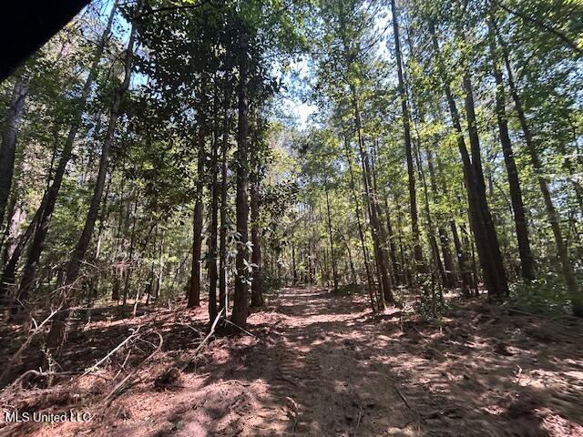 0 Charlie Rhodus Rd Property Photo 32