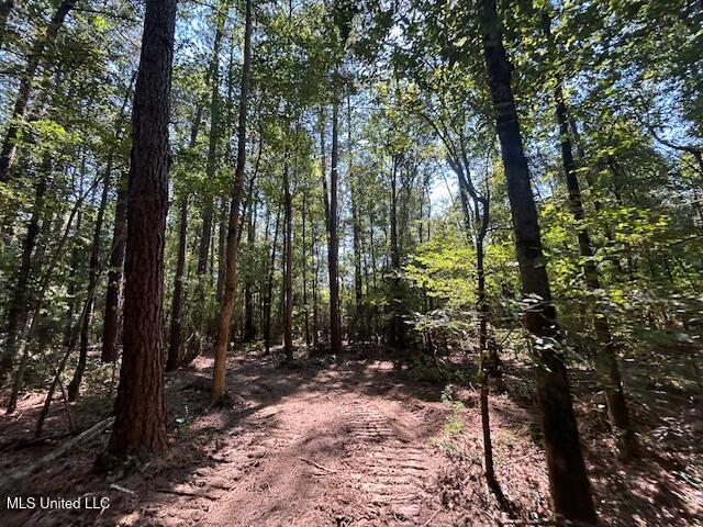 0 Charlie Rhodus Rd Property Photo 33