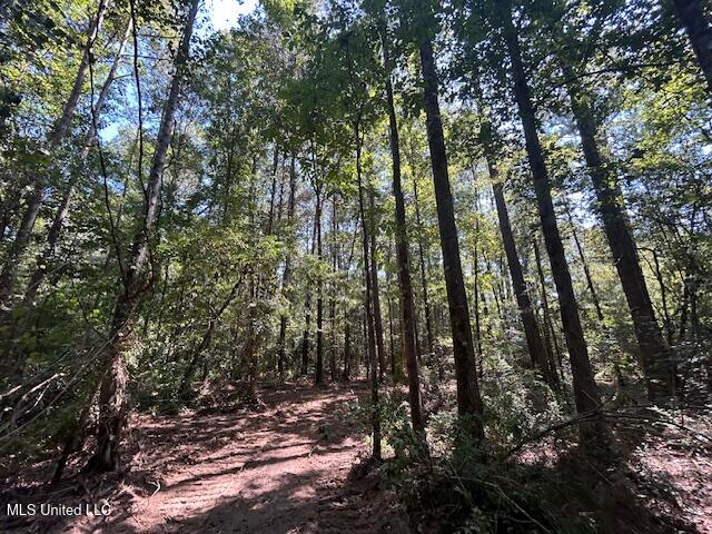 0 Charlie Rhodus Rd Property Photo 34