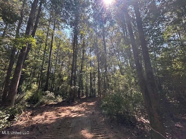 0 Charlie Rhodus Rd Property Photo 35