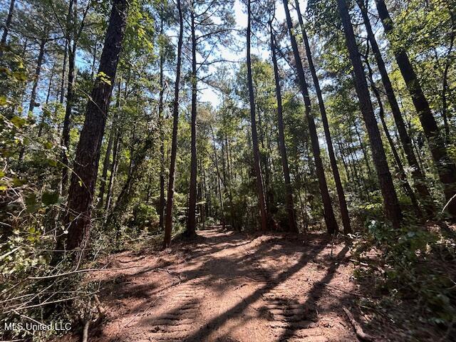 0 Charlie Rhodus Rd Property Photo 36