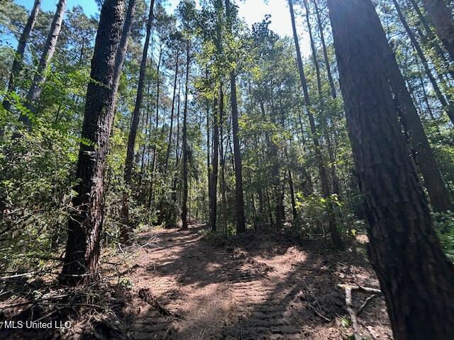 0 Charlie Rhodus Rd Property Photo 37