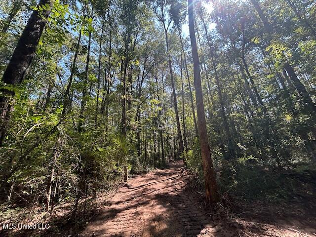 0 Charlie Rhodus Rd Property Photo 38