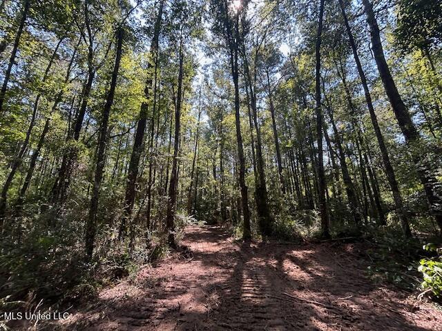 0 Charlie Rhodus Rd Property Photo 39