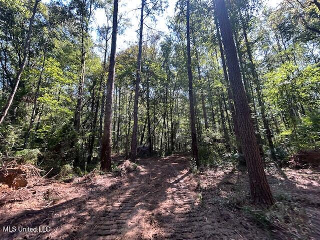 0 Charlie Rhodus Rd Property Photo 42