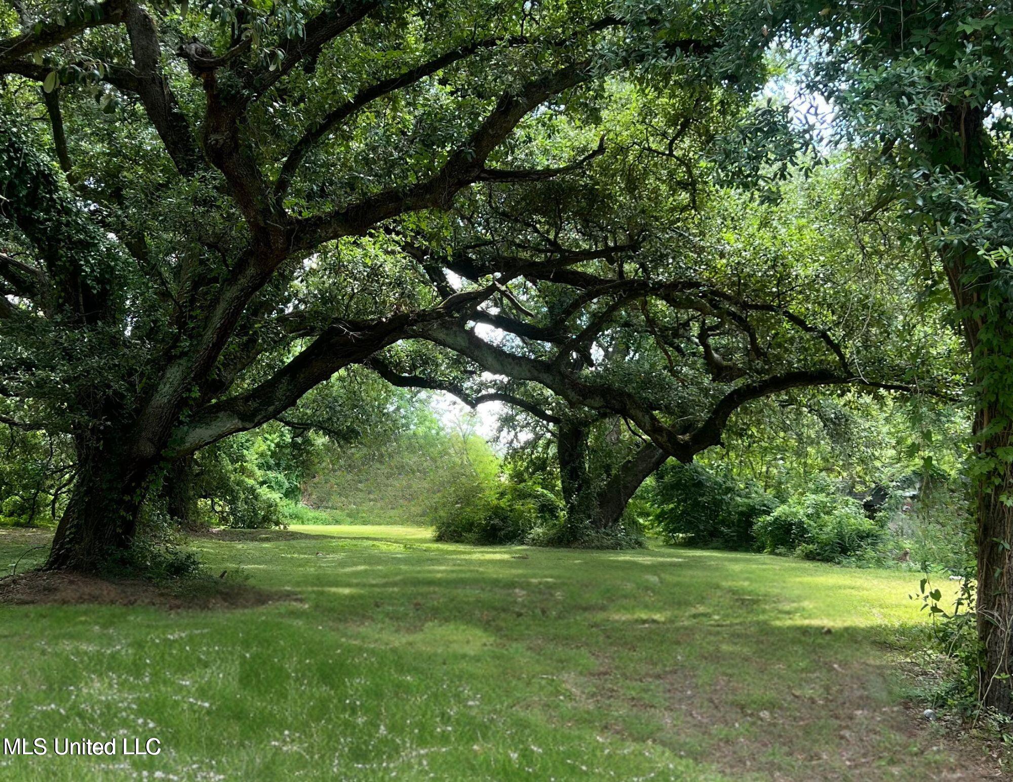 Fournier Avenue Property Photo 1