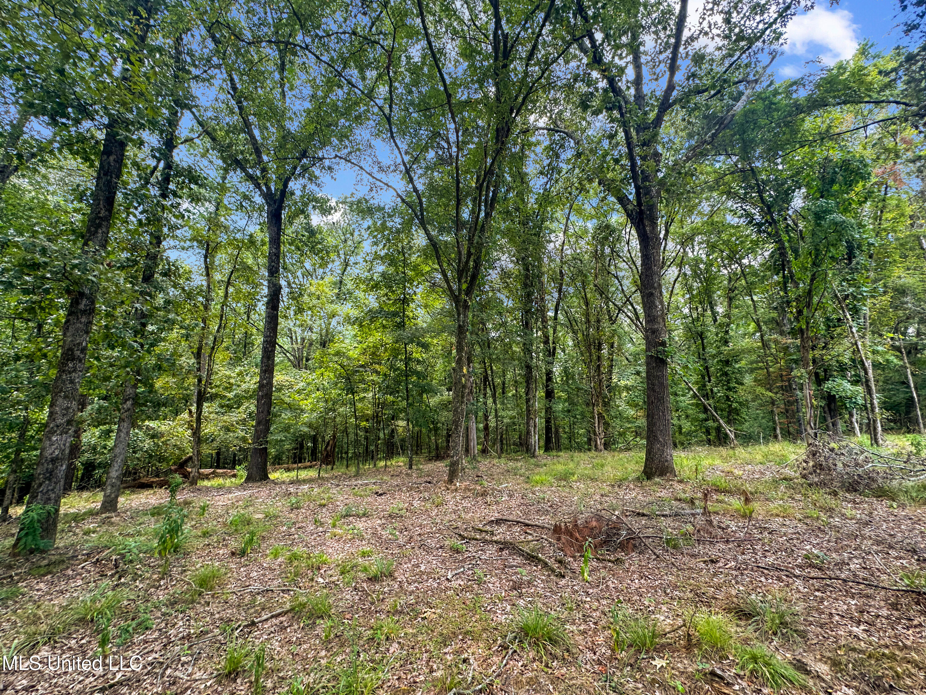 Canyon Ridge Property Photo 2