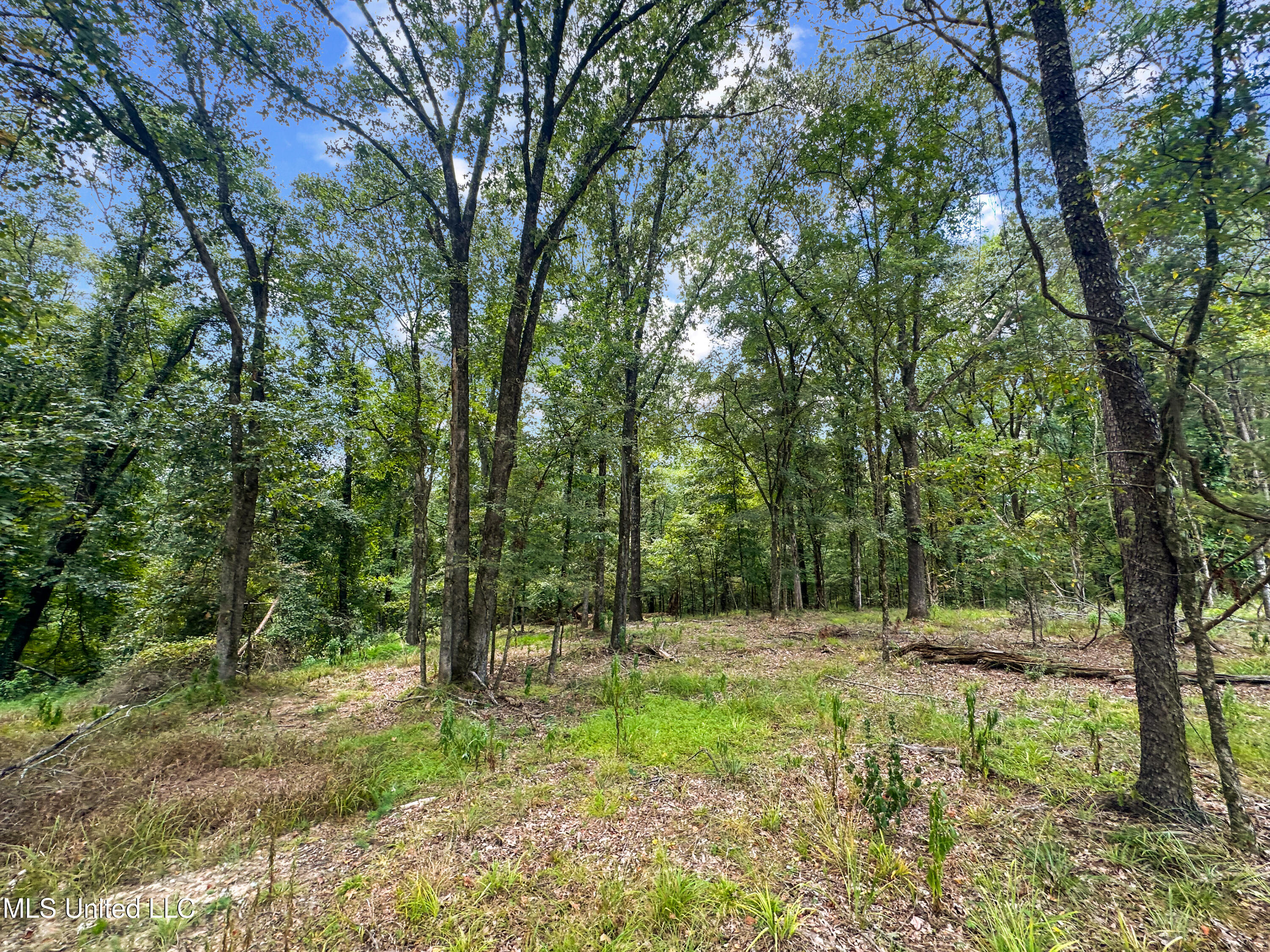 Canyon Ridge Property Photo 6