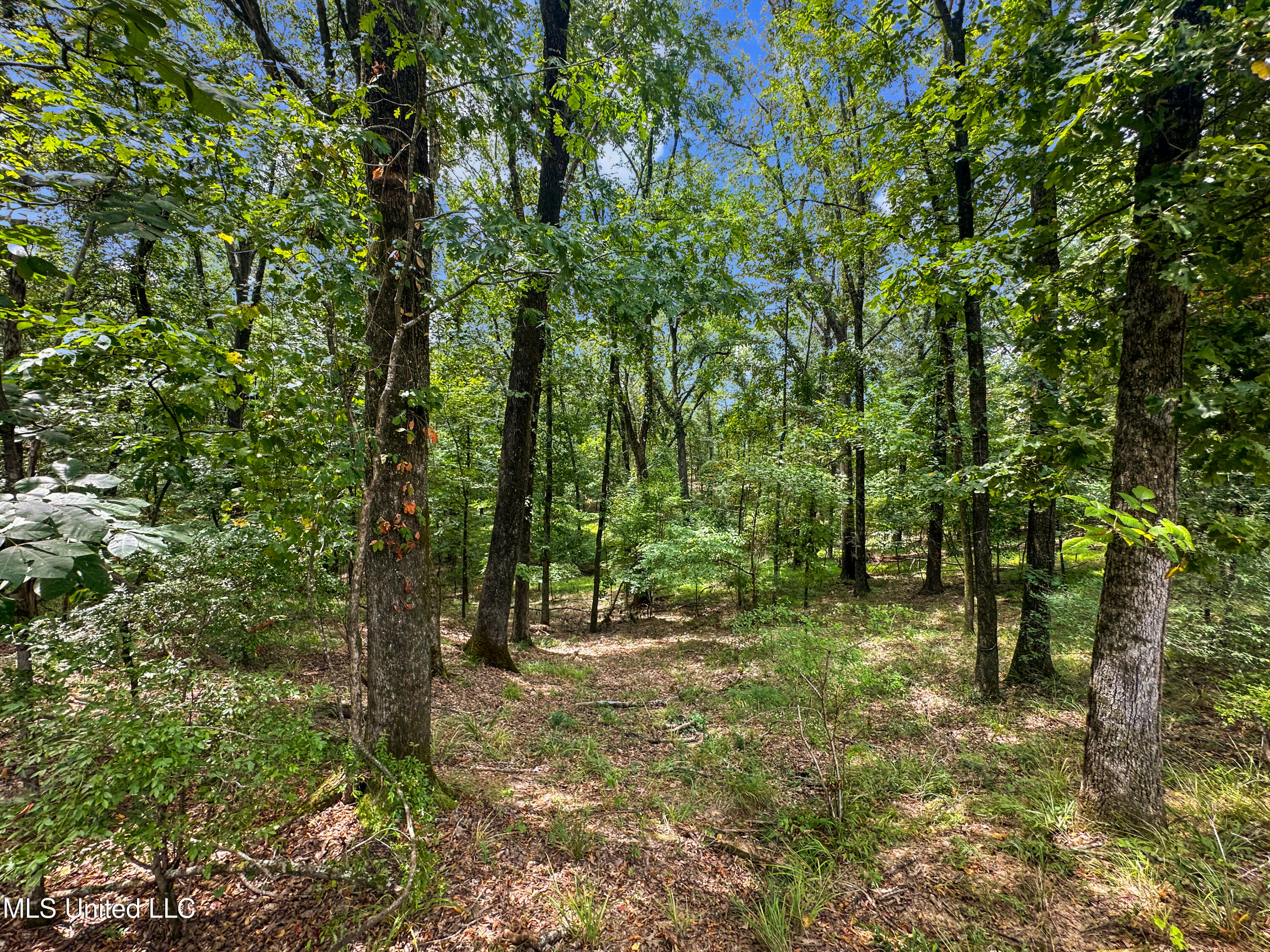 Canyon Ridge Property Photo 7