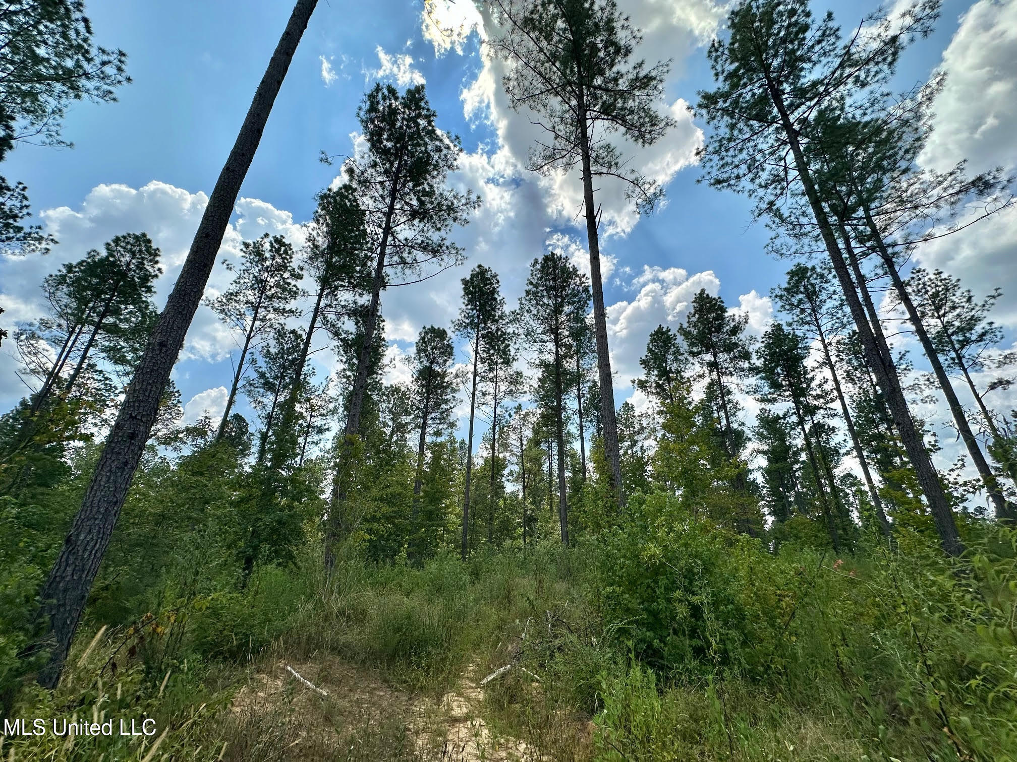 2 Dry Grove Road Property Photo 3