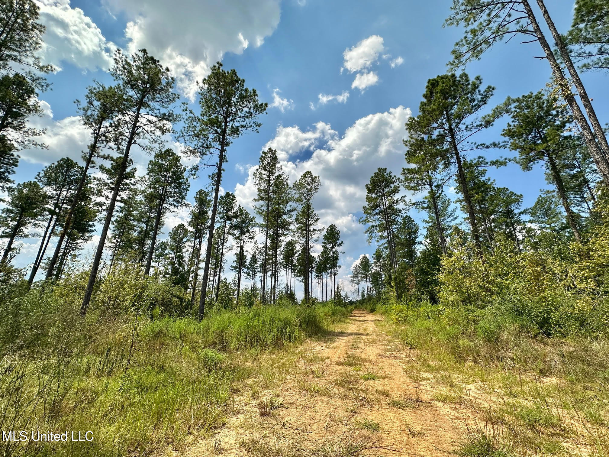 2 Dry Grove Road Property Photo 5