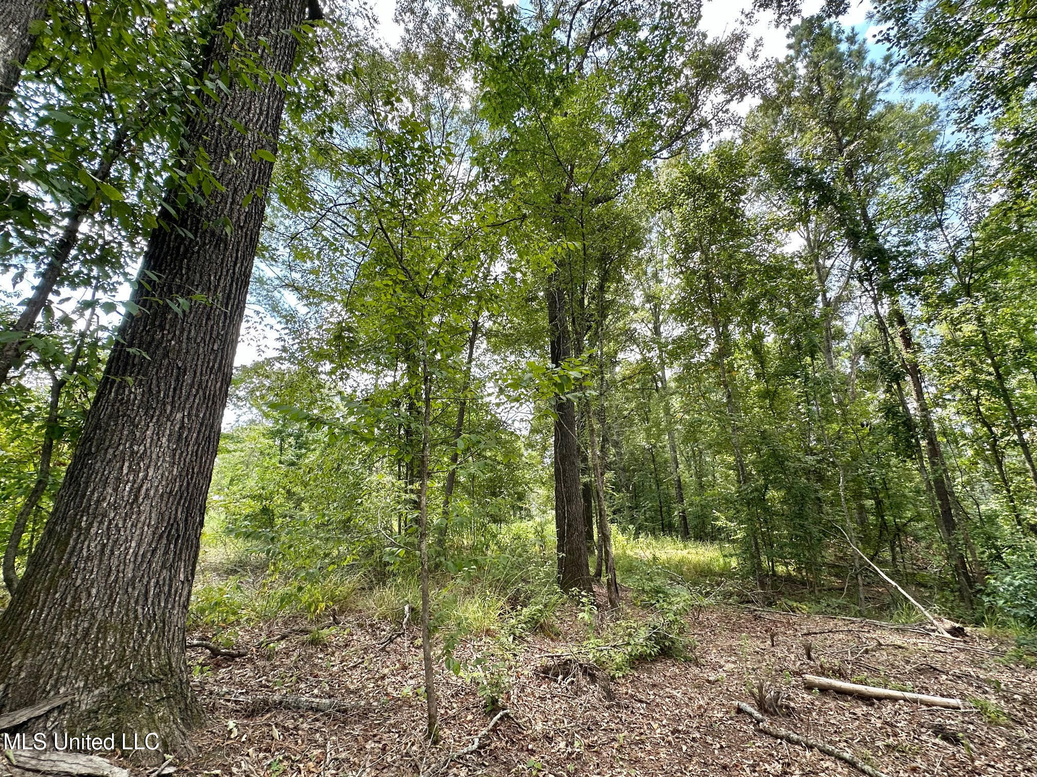 2 Dry Grove Road Property Photo 7