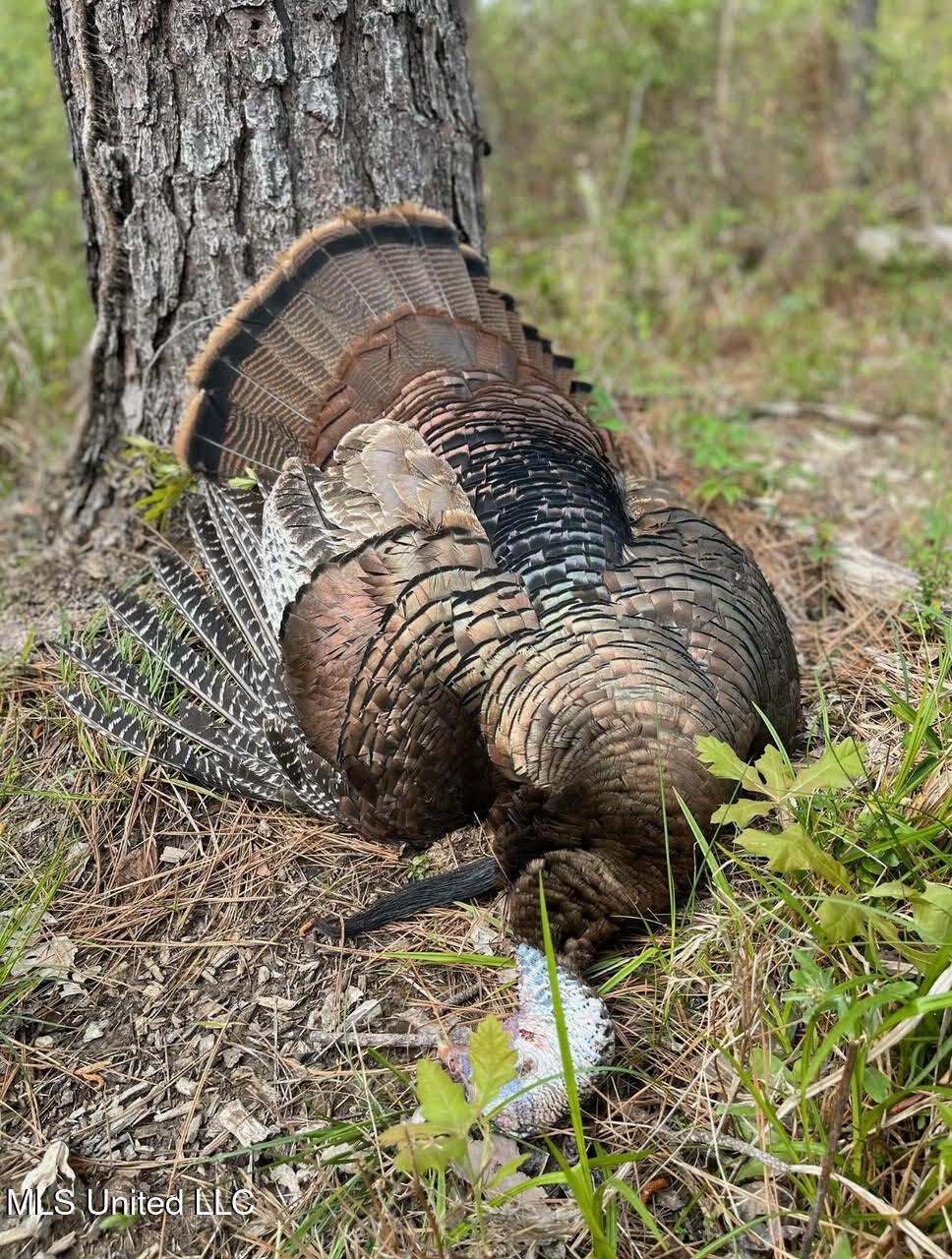 2 Dry Grove Road Property Photo 14