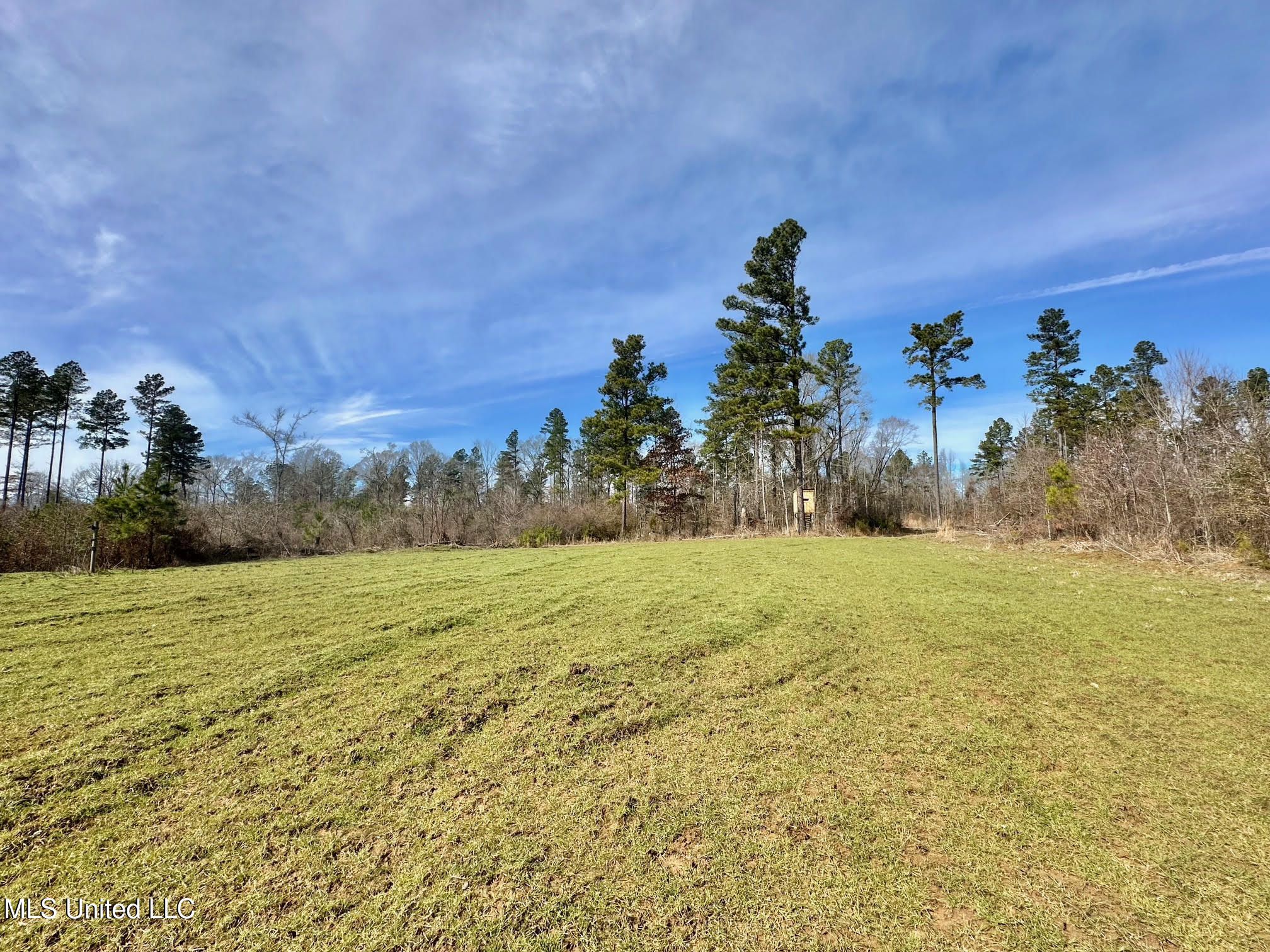 3 Dry Grove Road Property Photo 16