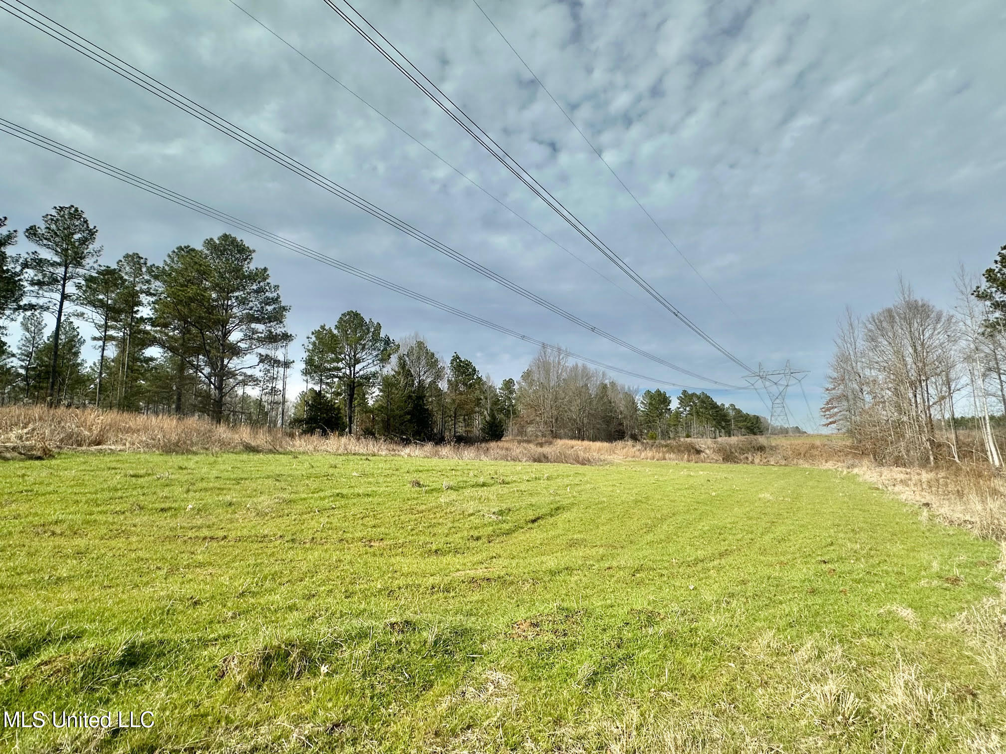 3 Dry Grove Road Property Photo 61