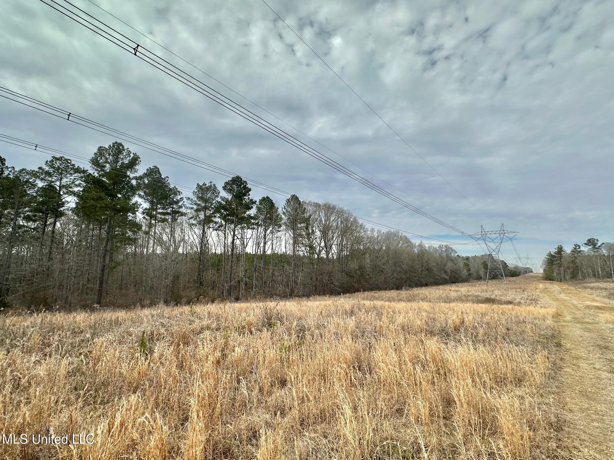 3 Dry Grove Road Property Photo 65
