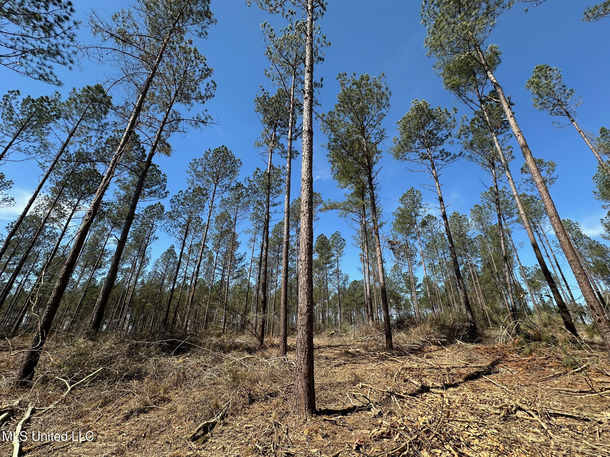 3 Highway 478 Property Photo 1