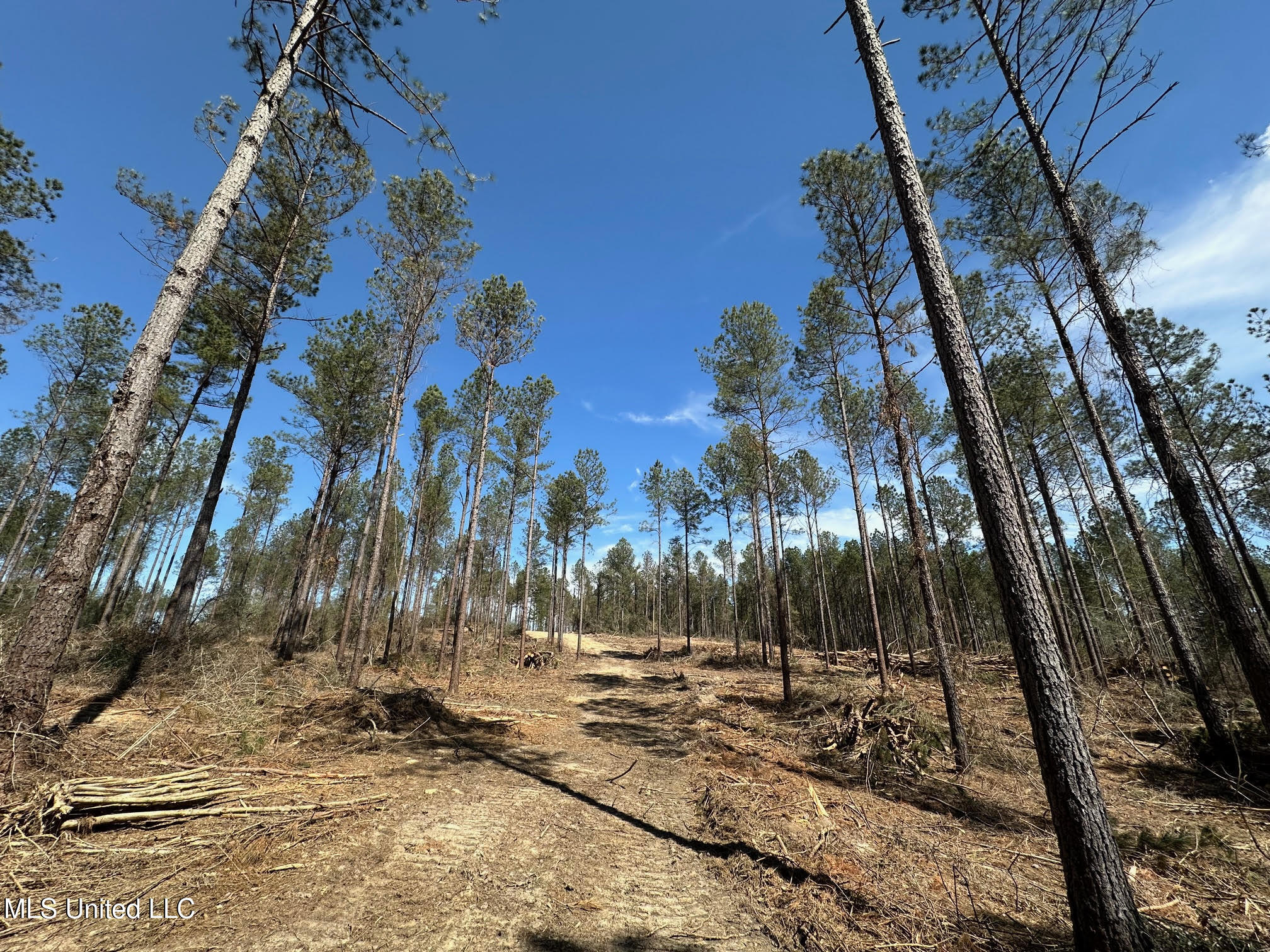 3 Highway 478 Property Photo 2