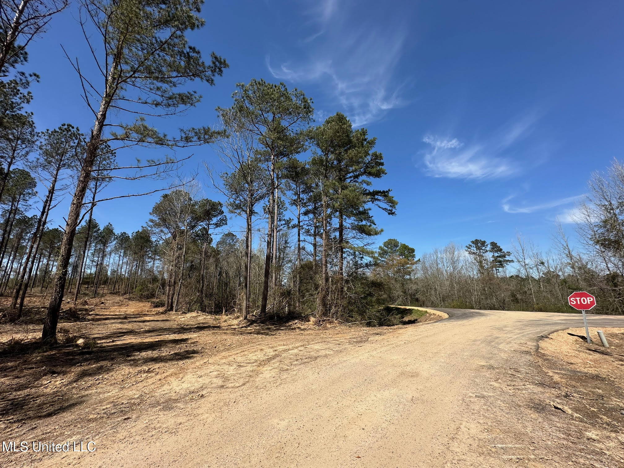 3 Highway 478 Property Photo 4