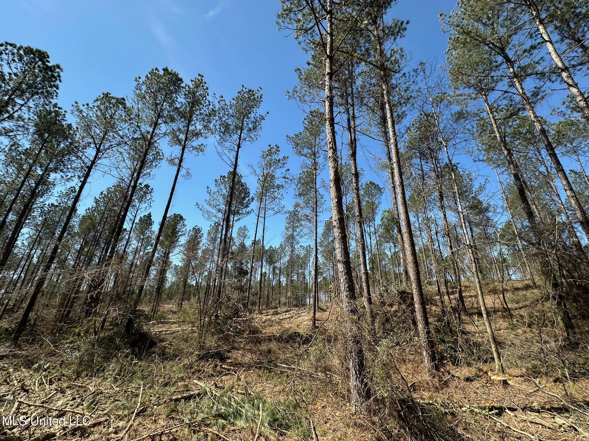 3 Highway 478 Property Photo 5