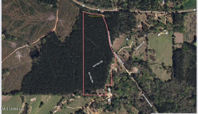 3 Highway 478 Property Photo 10