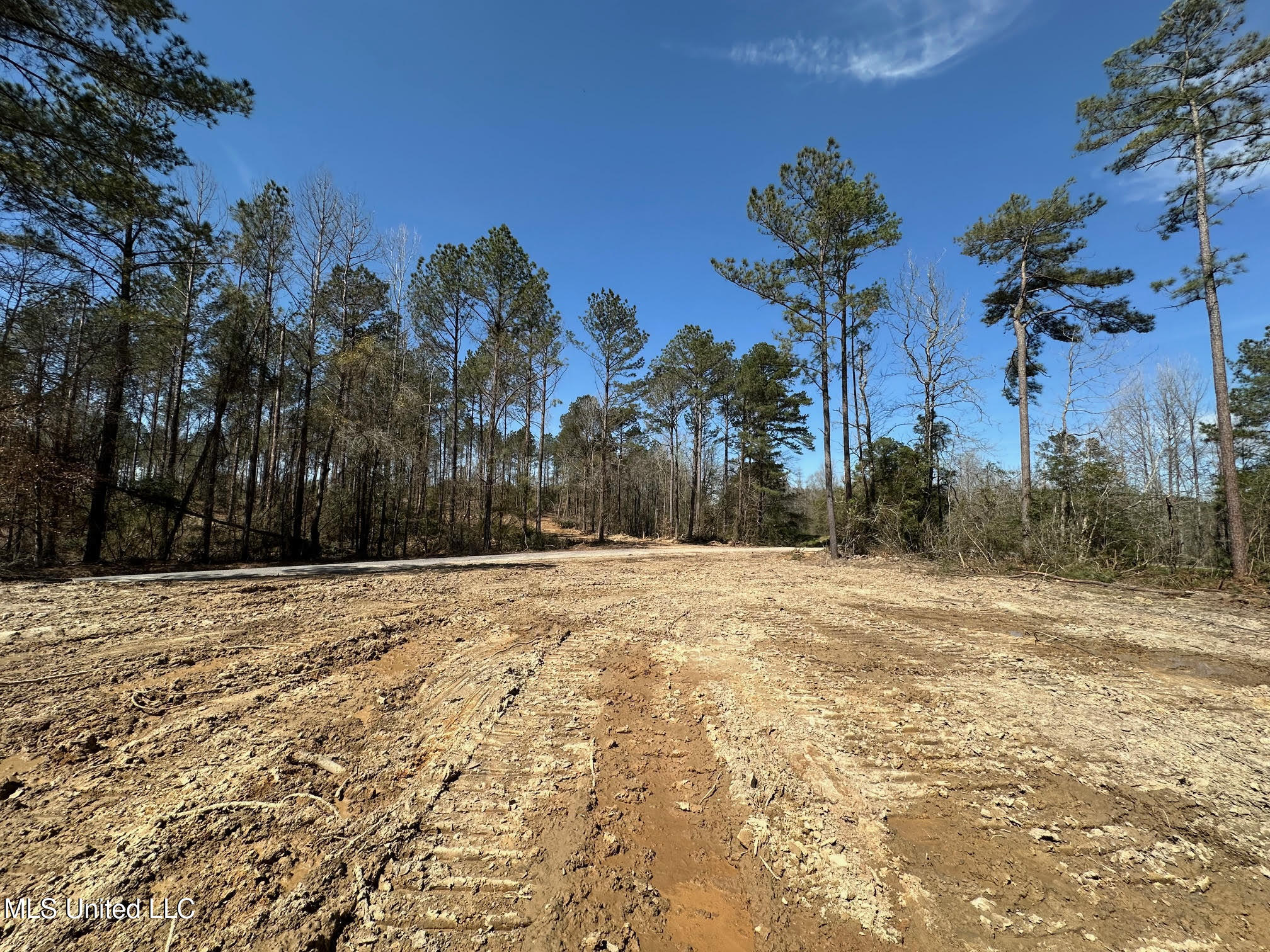 4 Highway 478 Property Photo 4