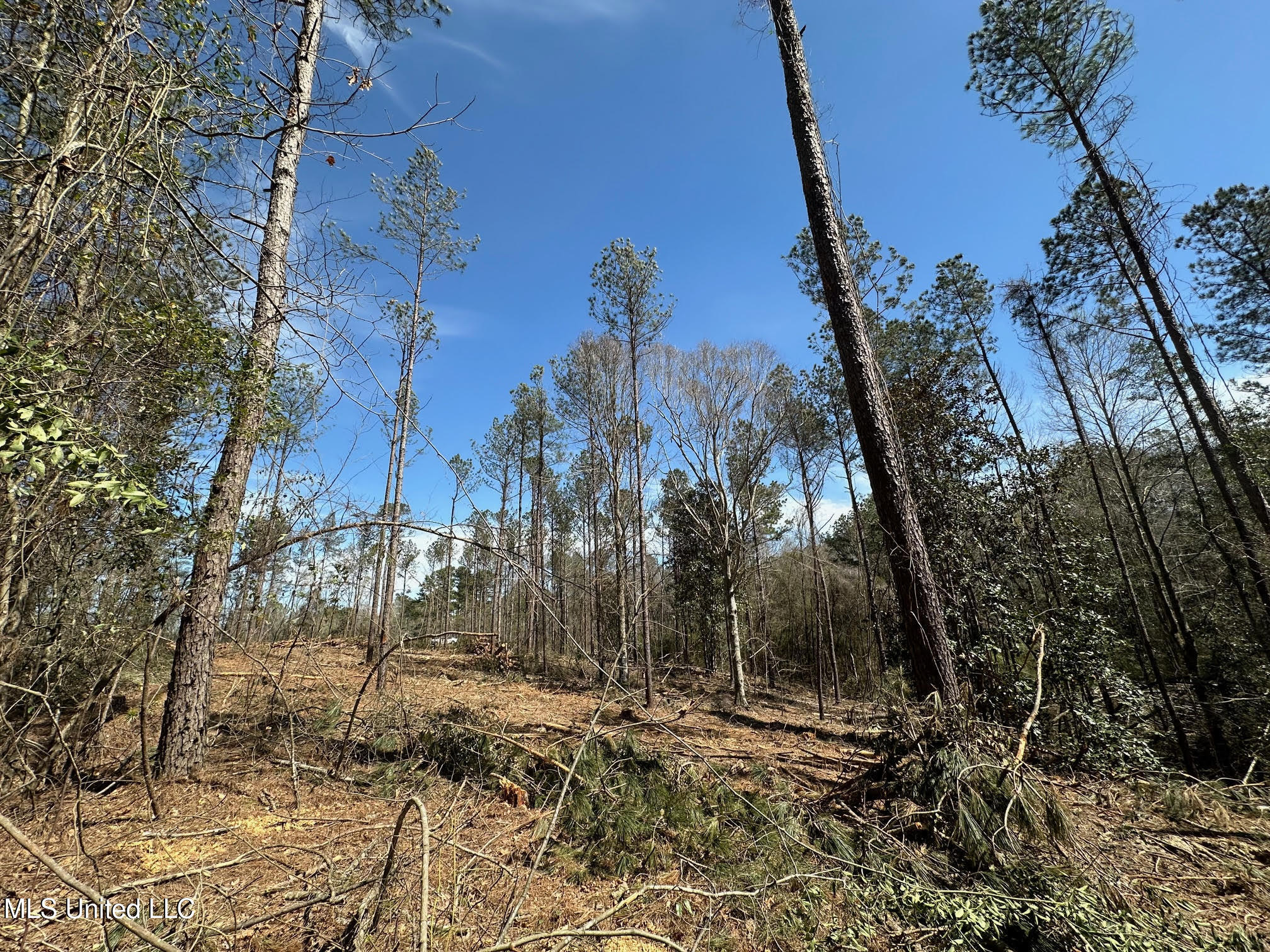 4 Highway 478 Property Photo 6