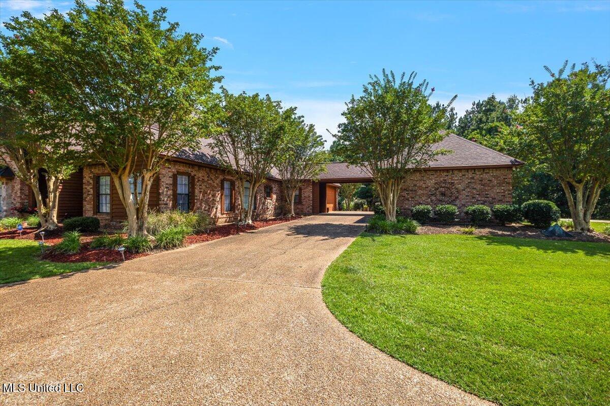 2197 Old Highway 84 Property Photo 3