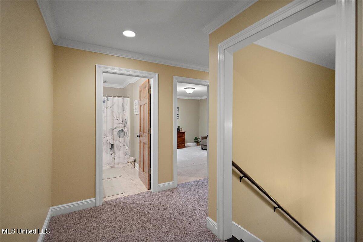 2197 Old Highway 84 Property Photo 37