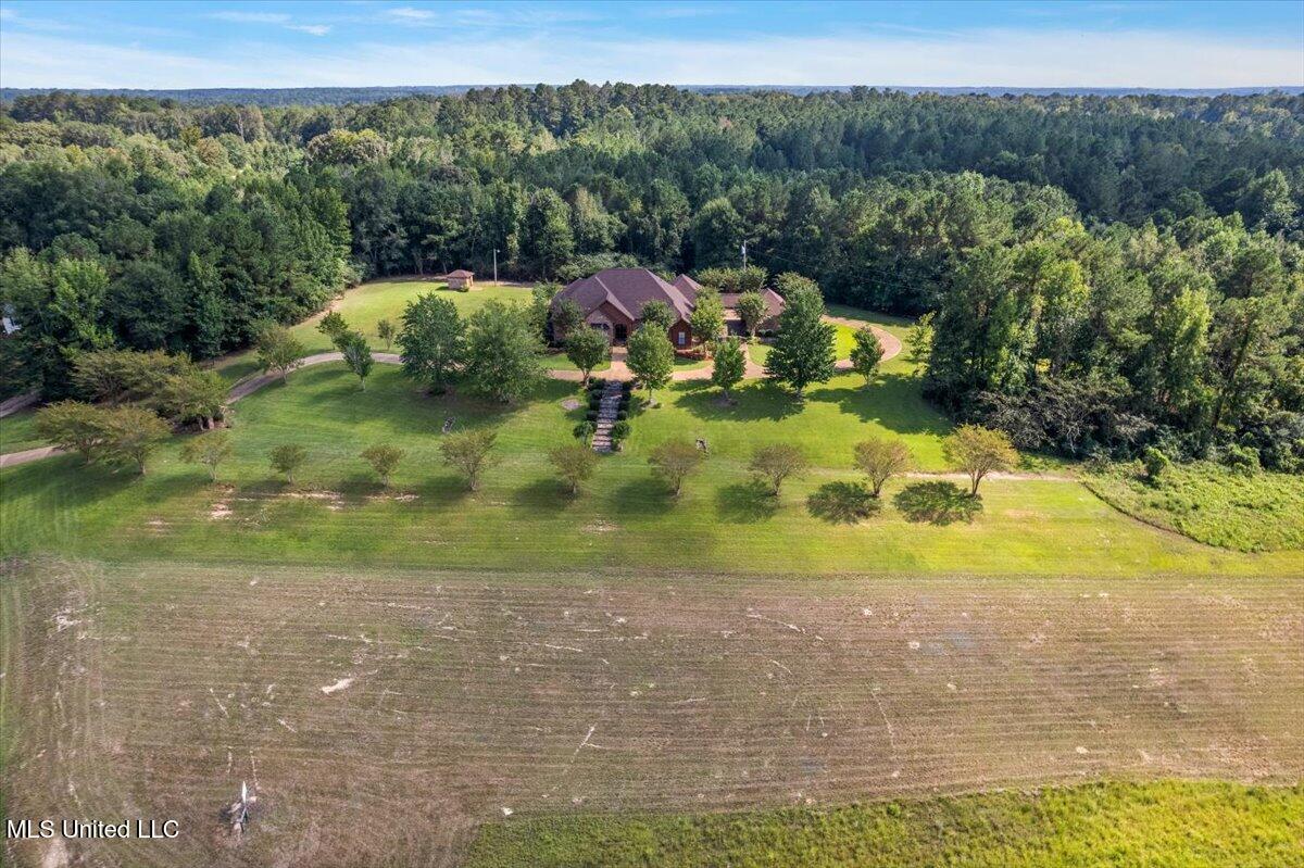 2197 Old Highway 84 Property Photo 61