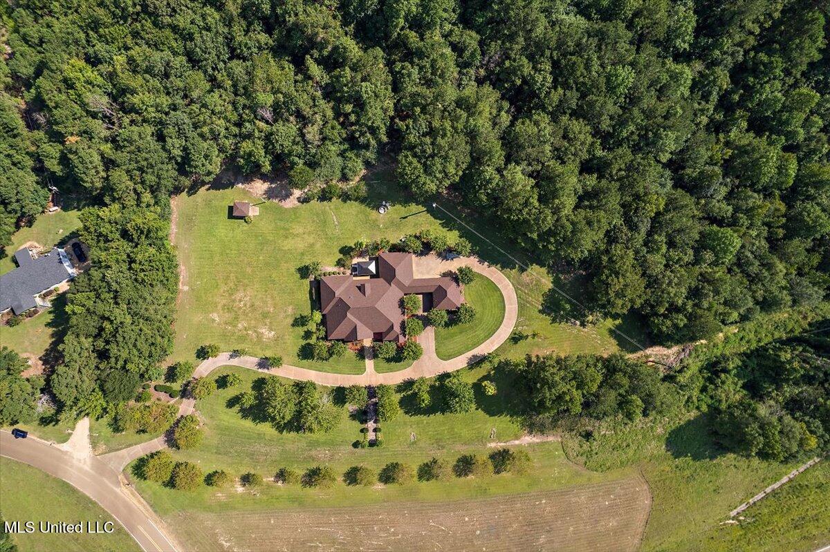 2197 Old Highway 84 Property Photo 66