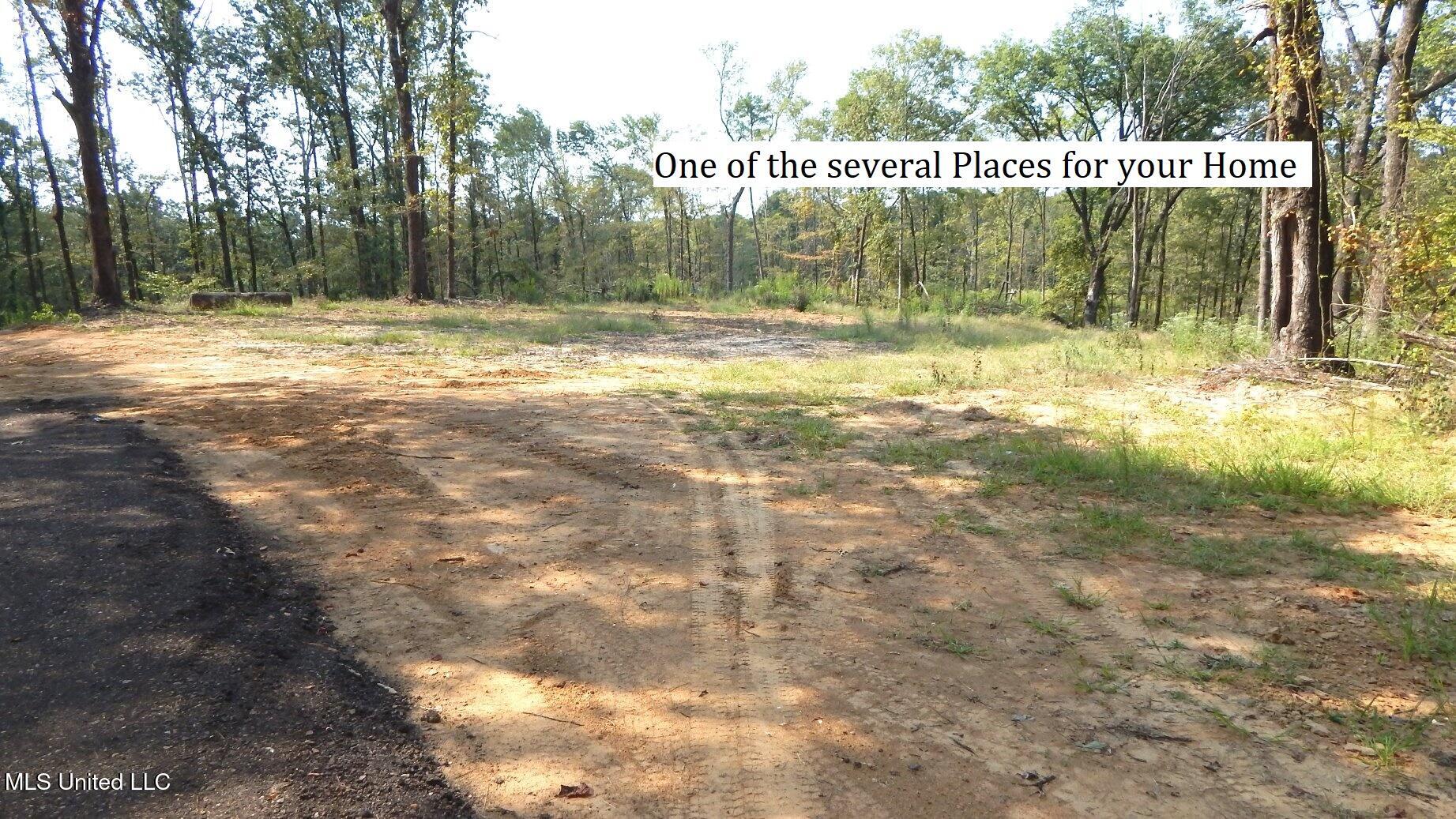 2380 213 Country Road Property Photo 1
